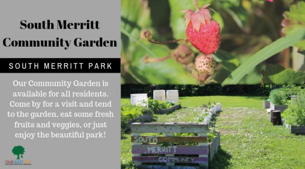 South Merritt Community Garden Is Open!